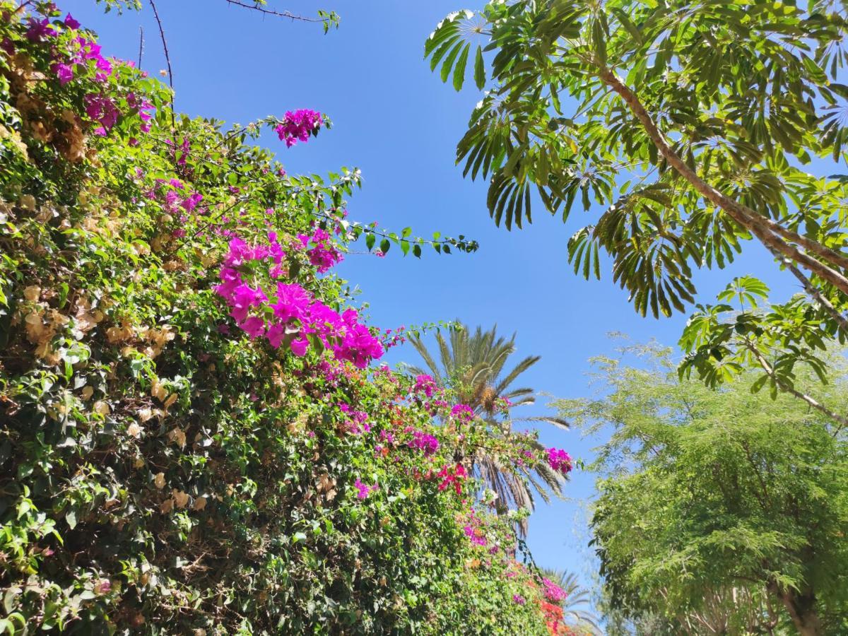 פלאיה בלנקה Villa Zinnia מראה חיצוני תמונה